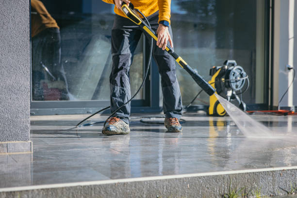 Best Gutter Cleaning  in Chesapeake, WV